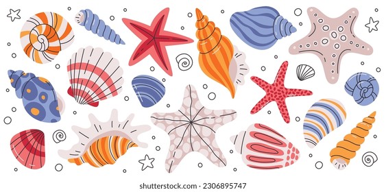 Sea Shells And Starfish Set Vector Illustration