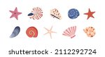 Sea shells, starfishes set. Underwater mollusk animals. Marine molluscs seashells, scallops, snails, cockleshells, mussels and conches. Vector illustration of shellfishes isolated on white backgroun