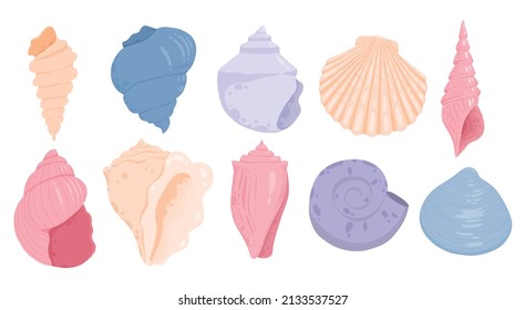 Sea shells, starfishes set. Underwater mollusk animals. Marine molluscs seashells, scallops, snails, cockleshells, mussels and conches. Vector illustration of shellfishes isolated on white background.