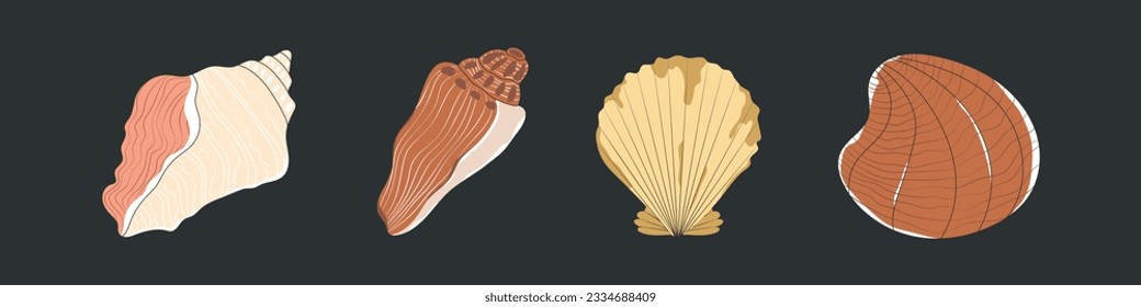 Sea shells, starfishes set. Underwater mollusk animals. Marine molluscs seashells, scallops, snails, cockleshells, mussels and conches. Vector illustration of shellfishes isolated on dark backgroun