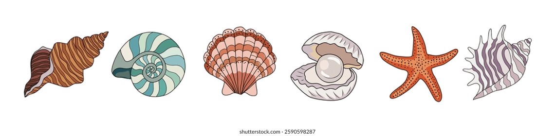 Sea shells, starfishes set. Underwater mollusk animals. Marine molluscs seashells, scallops, snails, cockleshells, mussels and conches. Vector illustration of shellfishes isolated on white background