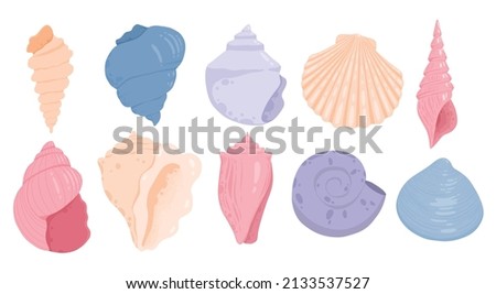 Sea shells, starfishes set. Underwater mollusk animals. Marine molluscs seashells, scallops, snails, cockleshells, mussels and conches. Vector illustration of shellfishes isolated on white background. Foto d'archivio © 