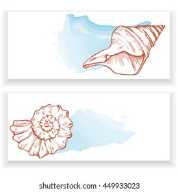 sea shells, two banners, vector illustration