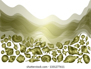 Sea shells vector 