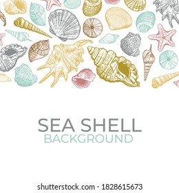 Sea shells vector background. Hand drawn trendy color shell. Summer banner design