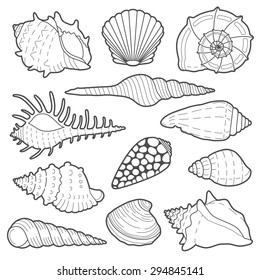 Sea shells vector icon set isolated on a white background