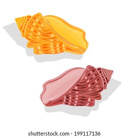 Sea shells Vector Illustration