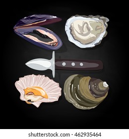 Sea shells vector illustration isolated