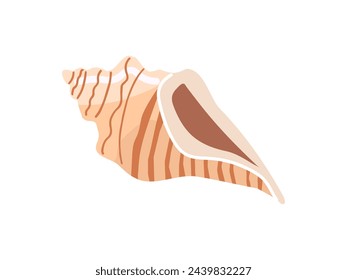 Sea shells vector illustration, mollusks. Flat illustration of seashell on white background. Ocean element for stickers.