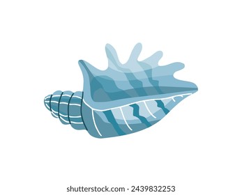 Sea shells vector illustration, mollusks. Flat illustration of seashell on white background. Ocean element for stickers.