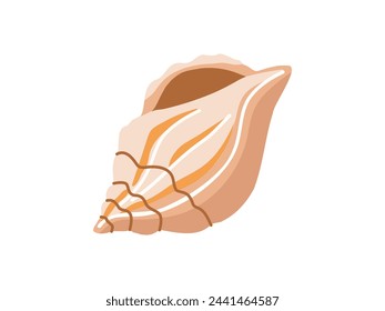 Sea shells vector illustration, mollusks. Flat illustration of seashell on white background. Ocean element for stickers.	