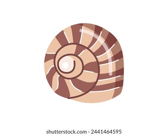 Sea shells vector illustration, mollusks. Flat illustration of seashell on white background. Ocean element for stickers.	