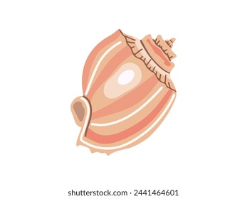 Ilustración vectorial de conchas de mar, moluscos. Ilustración plana de concha marina sobre fondo blanco. Elemento del océano para pegatinas.	