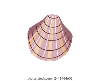 Sea shells vector illustration, mollusks. Flat illustration of seashell on white background. Ocean element for stickers.	