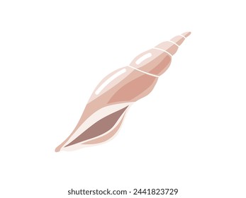 Sea shells vector illustration, mollusks. Flat illustration of seashell on white background. Ocean element for stickers.	