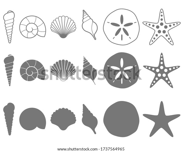 Sea Shells Vector\
Illustration Set on White