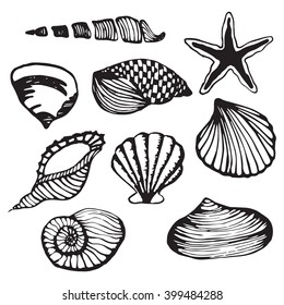 Sea shells vector monochrome isolated clip art set