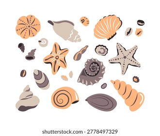 Sea shells vector set. Cute ocean collection with starfish, clams and pebbles in natural colors. Minimal summer beach illustration in simple hand drawn style.