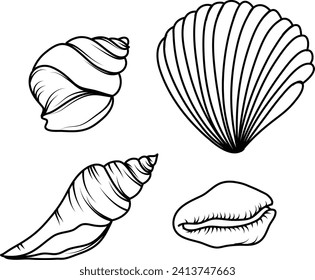 Sea shells vector set. Sea shell hand drawn illustration