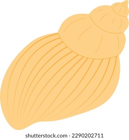 Sea shells yellow vector illustration