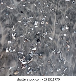 Sea shore texture. 