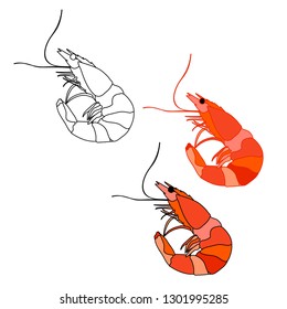 sea shrimp, boiled