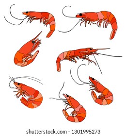 sea shrimp, set