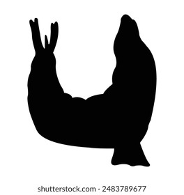 sea ​​lion silhouette vector design. black and white.