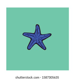 Sea simple Starfish Illustration Cilp Art vector