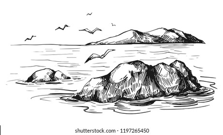 Sea sketch with rocks and gulls. Hand drawn illustration converted to vector