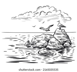 Esbozo marino con rocas, gaviotas y nubes. Escena vectorial de la capa marina. Paisaje pintado a mano en blanco y negro con fondo transparente.