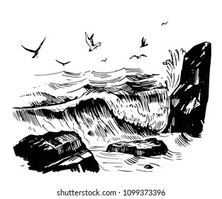 Sea sketch with rocks, waves and gulls. Hand drawn illustration converted to vector