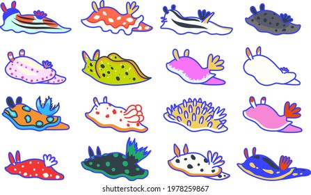 The sea slug which is the various kinds in a white background