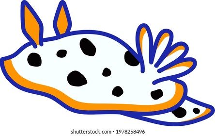 The sea slug white in a white background