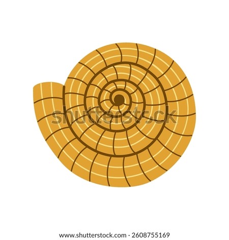 Sea snail shell. Swirled spiral seashell. Underwater marine mollusk. Hand drawn vector illustration isolated on white background, flat cartoon style.