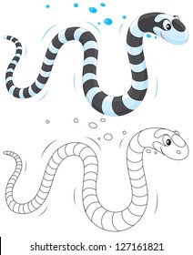 Sea Snake