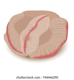 Sea sponge icon. Cartoon illustration of sea sponge vector icon for web