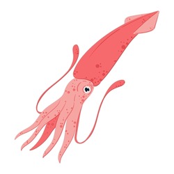 Sea Squid. Cartoon Calamari Animal Character, Aquatic Fauna Creature Flat Vector Illustration