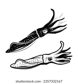 sea squid silhouette isolated on white background