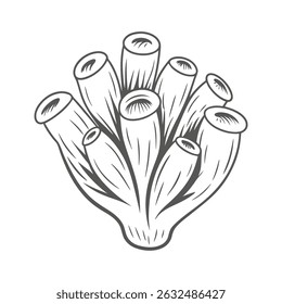 Sea Squirt Ascidian Simple Line Art Illustration