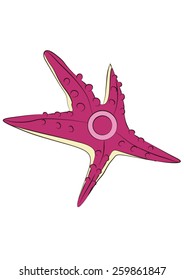 Sea Star