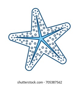 Sea star animal