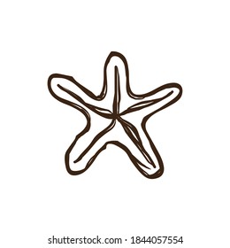 Sea star animal logo design vector template