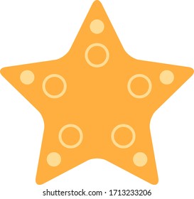 sea star animal vector illustration icon flat design