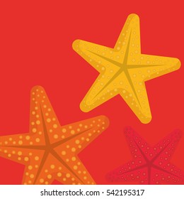 sea star beach icon vector illustration graphic design