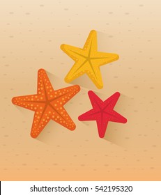 sea star beach icon vector illustration graphic design