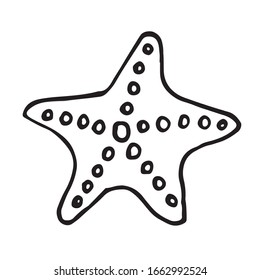 Doodle vectorial de estrella del mar caribe sobre fondo blanco