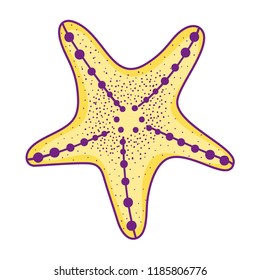Sea star cartoon
