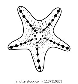 Sea star cartoon
