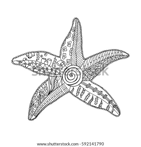 Sea Star Doodle Abstract Pattern Vector Stock Vector (Royalty Free) 592141790 - Shutterstock